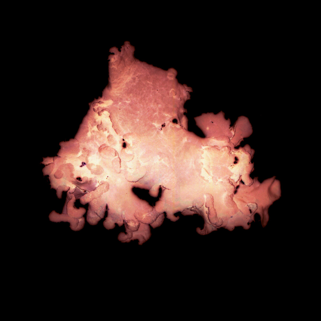 Aurelie-Jouandon Symbiose2bisfondperdu