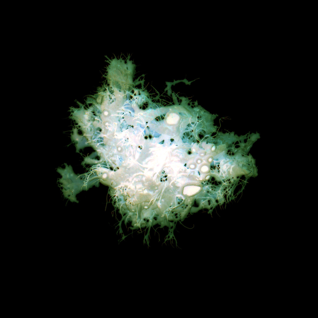 Aurelie-Jouandon Symbiosefondperdu24